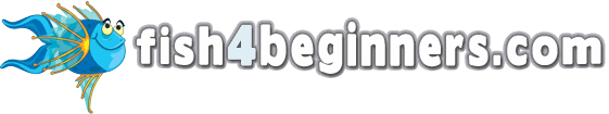 Fish4Beginners